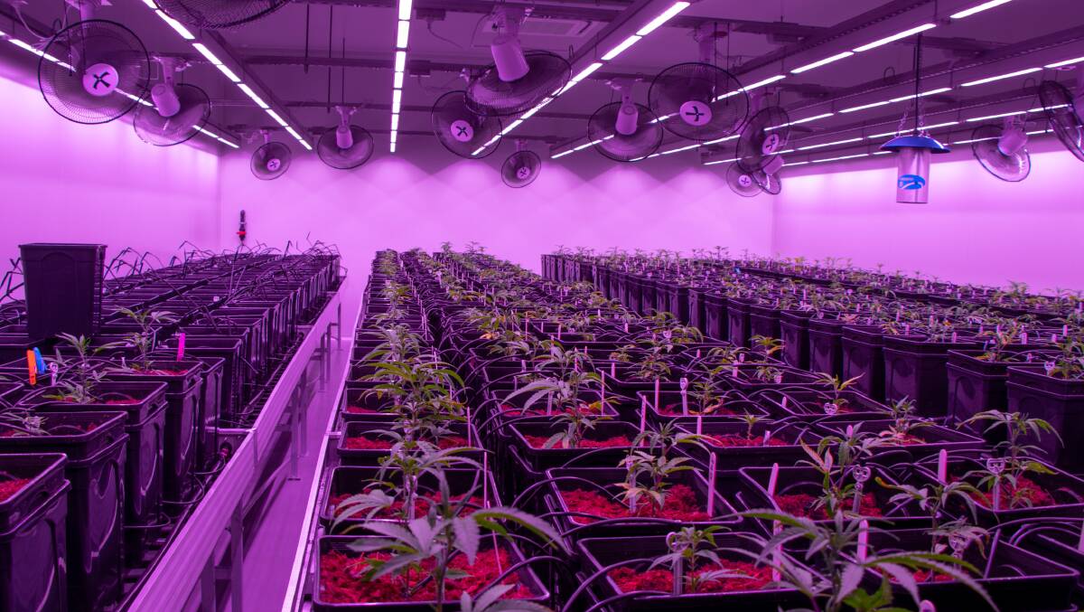 Little Green Pharma has agreed to acquire two properties underlying its South West WA cultivation and manufacturing facilities as well as two adjacent properties.
