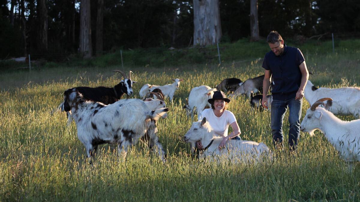 Ms Falls-Williams with her husband Sam, and their herd of goats, on their 50-hectare property.