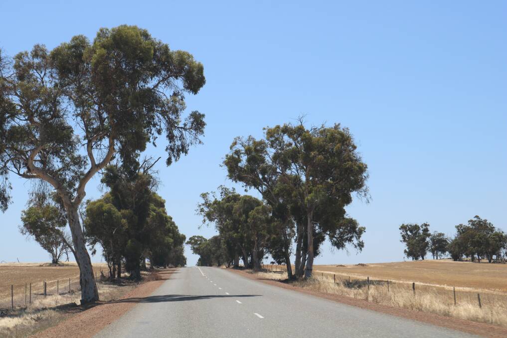 WA's country roads like the one pictured here are regularly the cause of crashes.