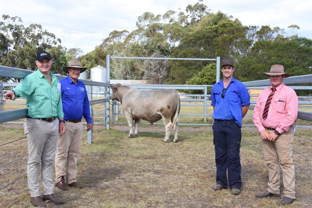 Prices in the Melaleuca Murray Grey side of the catalogue hit a high of $14,500 for this bull Melaleuca Trident T60, with the bull were Nutrien Livestock, Albany representative Laurence Grant (left), Melaleuca principal Richard Metcalfe, buyer Kurt Wise, Southend stud, Katanning and Elders auctioneer Pearce Watling.