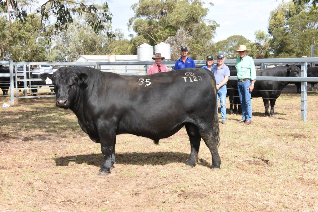 This bull, Koojan Hills Stellar T123 sold for the sales equal second top price of $15,500. With the bull were Elders auctioneer Pearce Watling (left), Koojan Hills co-principal Chris Metcalfe, buyers Jackie and Roy Reid, King River and the Reids agent Nutrien Livestock, Mt Barker agent Harry Carroll.