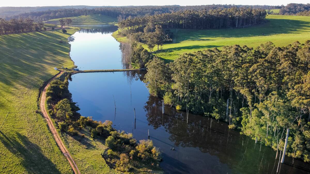 Lake Janis Grassfed was born from the Ryans desire to have a vertically-integrated supply chain for gourmet Jersey beef and UltraWhite lamb from their picturesque paddocks at Pemberton, in the Southern Forests region, through to the butcher, retailer and restaurant trade.