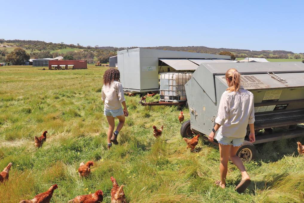 The first chicken caravan the sisters purchased was a remodelled shipping container. Over the years, they have added more caravans for the chickens to lay in.