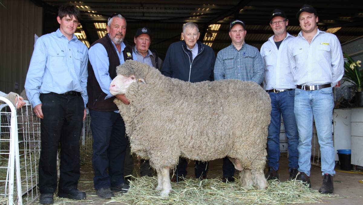Prices topped at $11,500 for a semen share in a Lewisdale stud Poll Merino ram at the 60th anniversary Lewisdale Poll Merino stud on-property ram sale at Stud Park, Wickepin, on Saturday. With the August shorn 2021-drop ram were Brodie Lang (left), AWN Livestock, Tambellup/Katanning, Andrew Kitto, Dyson Jones, Wickepin/Newdegate, Lewisdale stud principal Ray Lewis, Lewisdale stud representative of 56 years John Sherlock, co-sale auctioneer Cameron Petricevich, Cameron Petricevich Auctioneering and Peter and Sam Howie, Dyson Jones. The semen share was purchased by Gary Dickerson, Rejall Park, Miga Lake, Victoria.