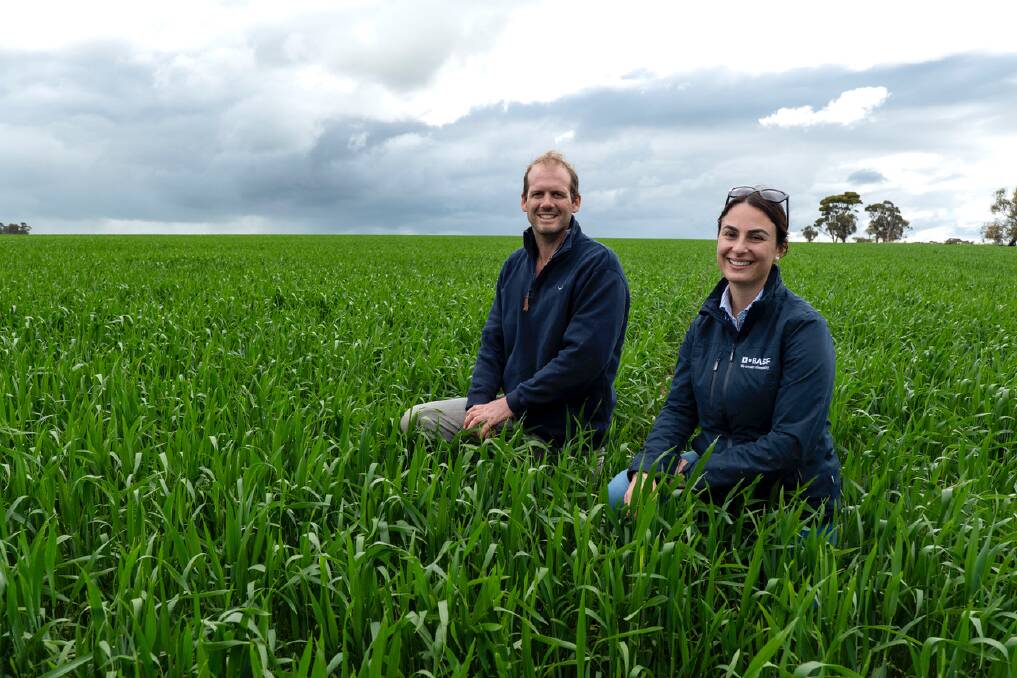 WA farmer Scott Walker, pictured with broadcare crop specialist Caroline Dix, said he was impressed with what Luximax had done for his paddock. Picture supplied