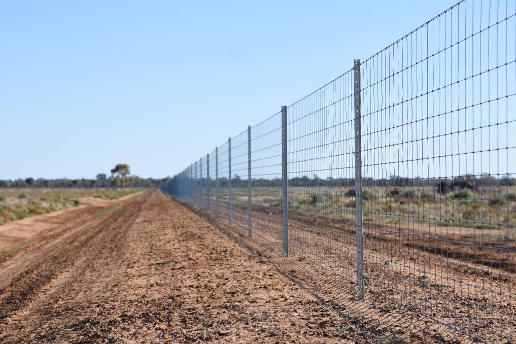 Waratah's quality fencing system paired with Nutrien Ag Solutions' livestock management and husbandry knowledge caters for cost rural fencing needs. Picture supplied