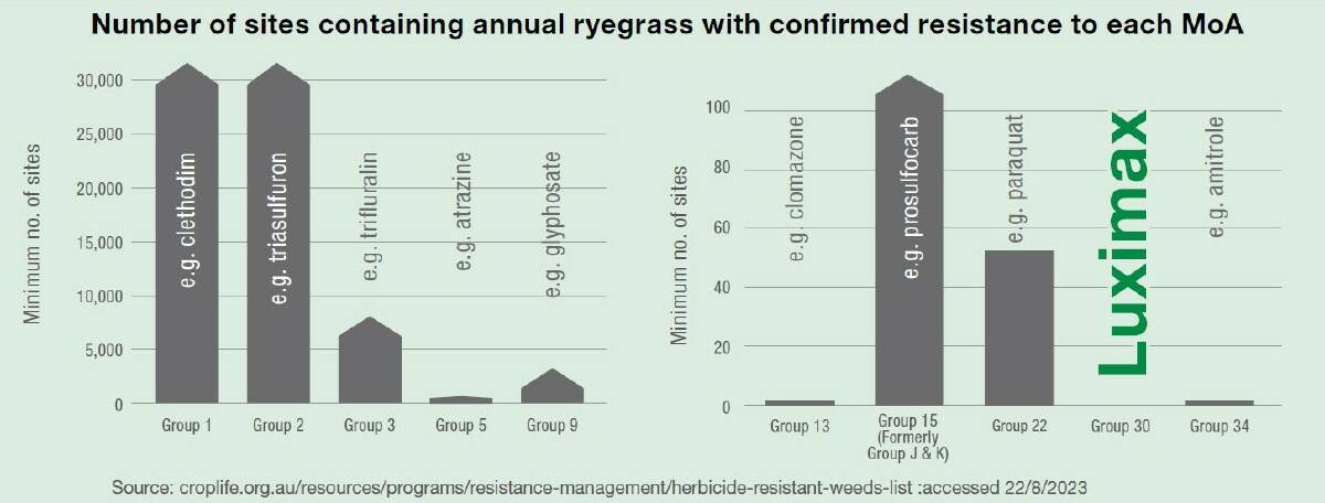 A graph showing the number of sites containing annual ryegrass with confirmed resistance to each MoA. Picture supplied