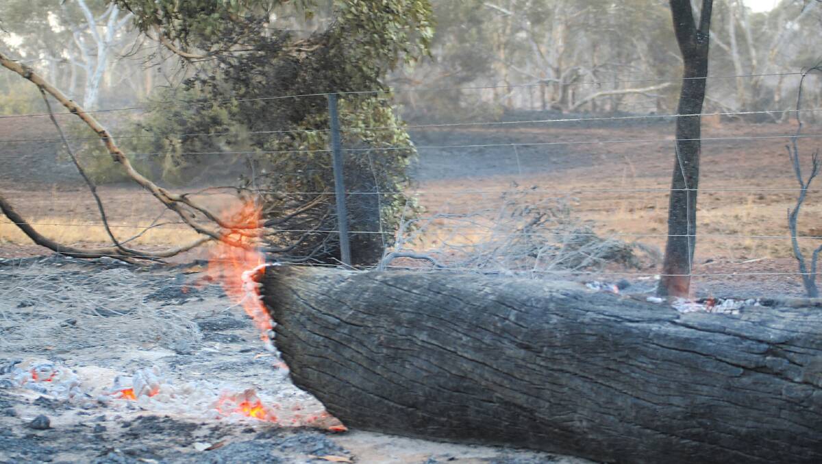 Western Power to reduce bushfire risk