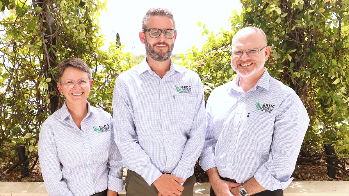 GRDC grower relations managers Jo Wheeler, Luke Dawson and Berin Gibbons will host the firts of the National Grower Network 'Summer Sesh forums in Busselton tomorrow.