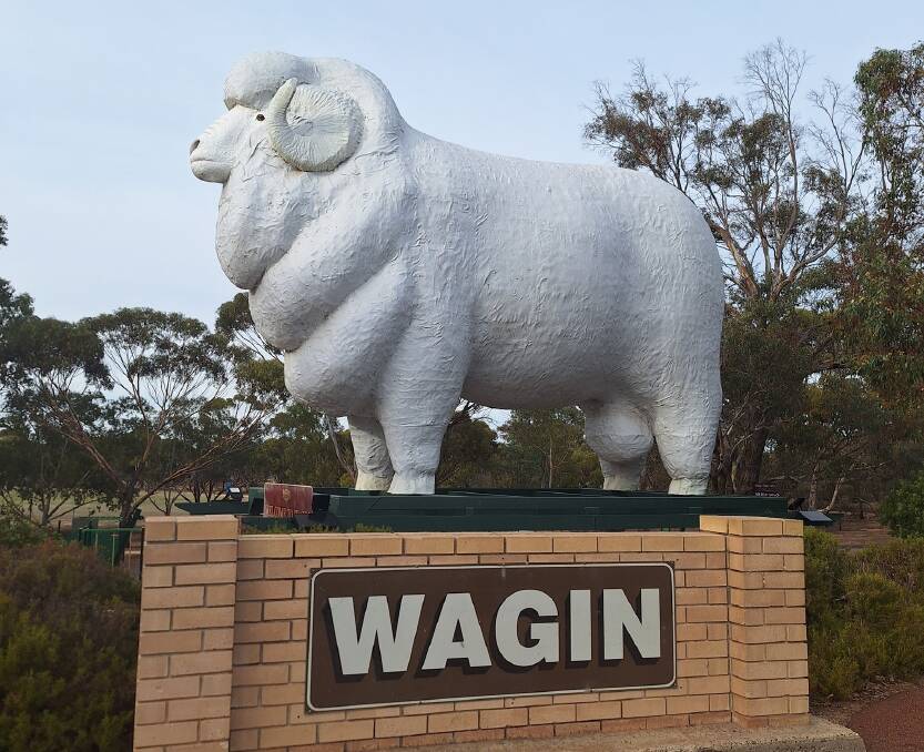 Bart the giant ram has been an icon in the Shire of Wagin since 1985.
