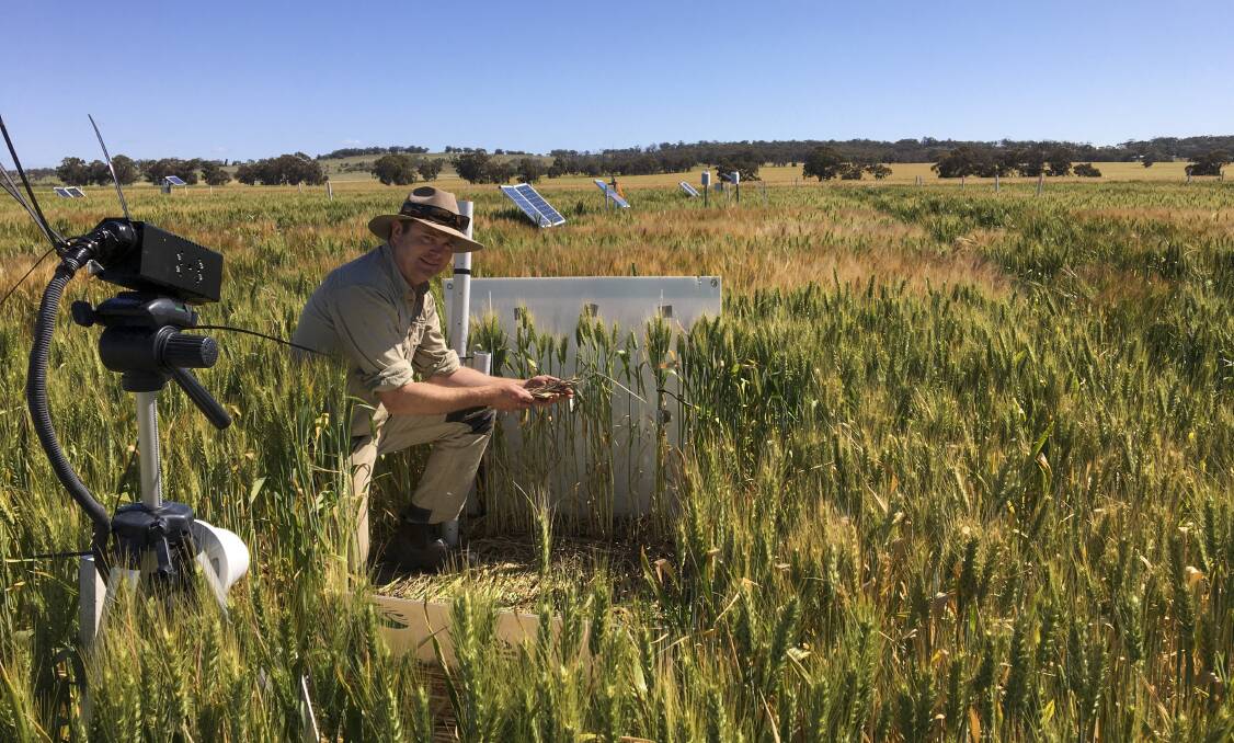 DPIRD chief primary industries scientist Dr Ben Biddulph will lead a 'reverse pitch' session involving the WA agricultural sector and technology providers at evokeAG next week.