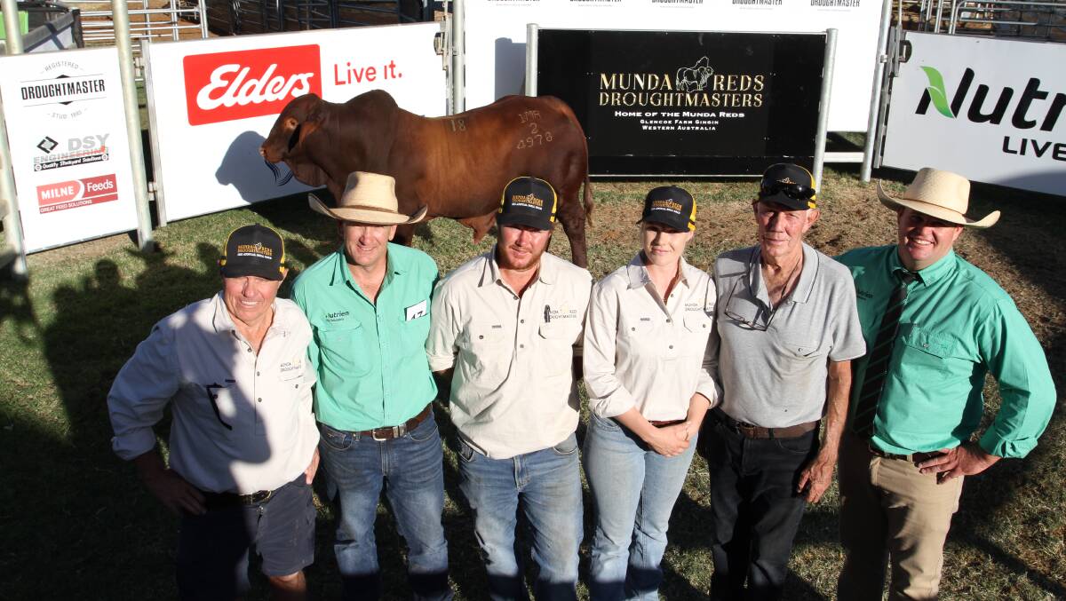 Munda Reds stud principal Mike Thompson (left), Nutrien Livestock pastoral agent Daniel Wood, Munda Reds Glencoe managers Ben and Olivia Wright, Kim Goad, who represented the buyer and auctioneer Trent McKinlay, Nutrien Ag Solutions stud stock, Rockhampton, Queensland, with the $31,000 second top-priced bull, Munda Hound Dog 22-4978 (PH) (by Munda Django 18-3178), purchased by John Atkinson, Glenavon Droughtmaster stud, Yaamba, Queensland.