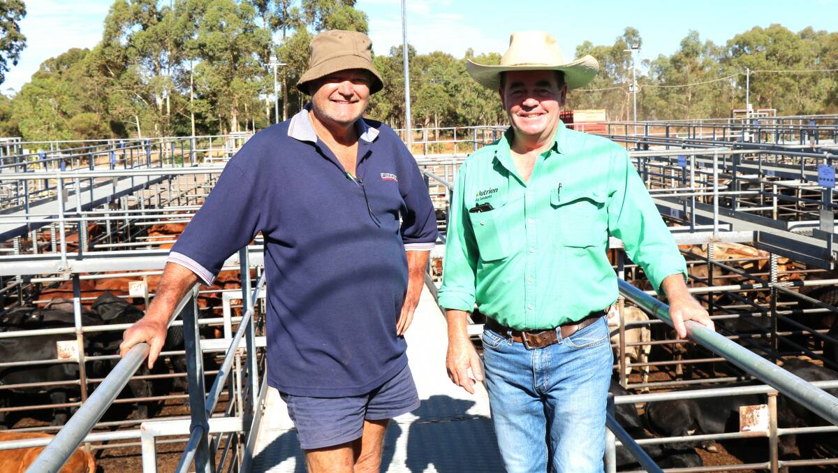 Rowland Morton (left), Balingup, checked the yarding before the Nutrien Livestock store cattle sale at Boyanup last week with his agent Jamie Abbs, Nutrien Livestock, Boyup Brook.
