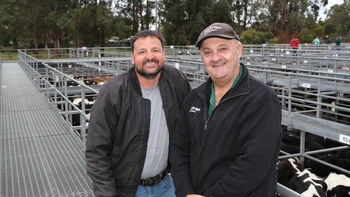 Anthony Anfuso (left), Oldbury, caught up with Ralph Mosca, Nutrien Livestock, Peel, prior to the sale.