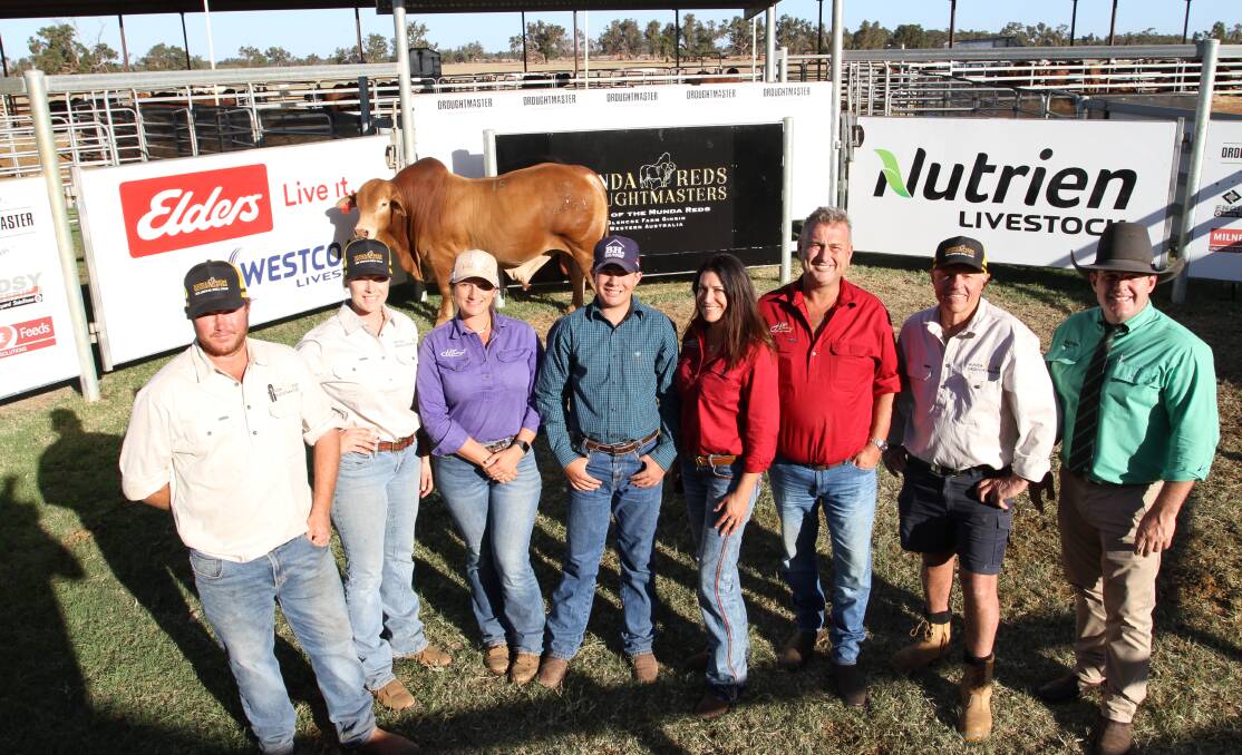 With the $38,000 top-priced bull, Munda Holy Smokes 22-4521 (PP) (by Munda Eight Ball 19-3551), purchased by the High Country Droughtmaster stud, Toogoolawah, Queensland, at the third annual Munda Reds Droughtmaster on-property bull sale at Gingin on Monday were Munda Reds Glencoe managers Ben (left) and Olivia Wright, Stephanie Laycock, Max Wallis, Katrina Wallis and Paul Laycock, High Country stud, Munda Reds stud principal Mike Thompson and auctioneer Dane Pearce, Nutrien Ag Solutions stud stock, Rockhampton, Queensland.