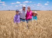 The Soderlund Family standing among their first ever wheat crop in Tammin. All photos supplied by Rik Soderlund.