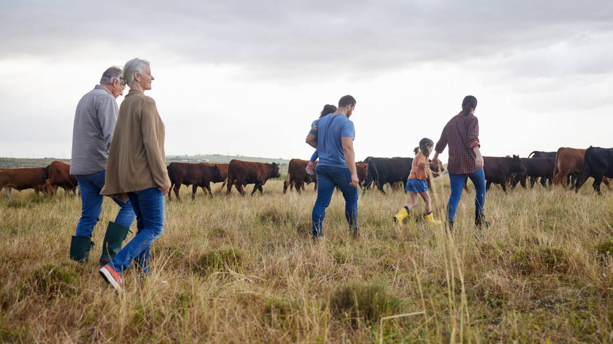 The National Farmers Federation has called on the Senate to carve out primary production assets from proposed superannuation changes. Picture by Shutterstock.