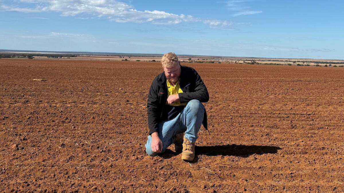 Mr Bradford assesses the dry early conditions that have been widespread at the start of the season in the northern Wheatbelt.