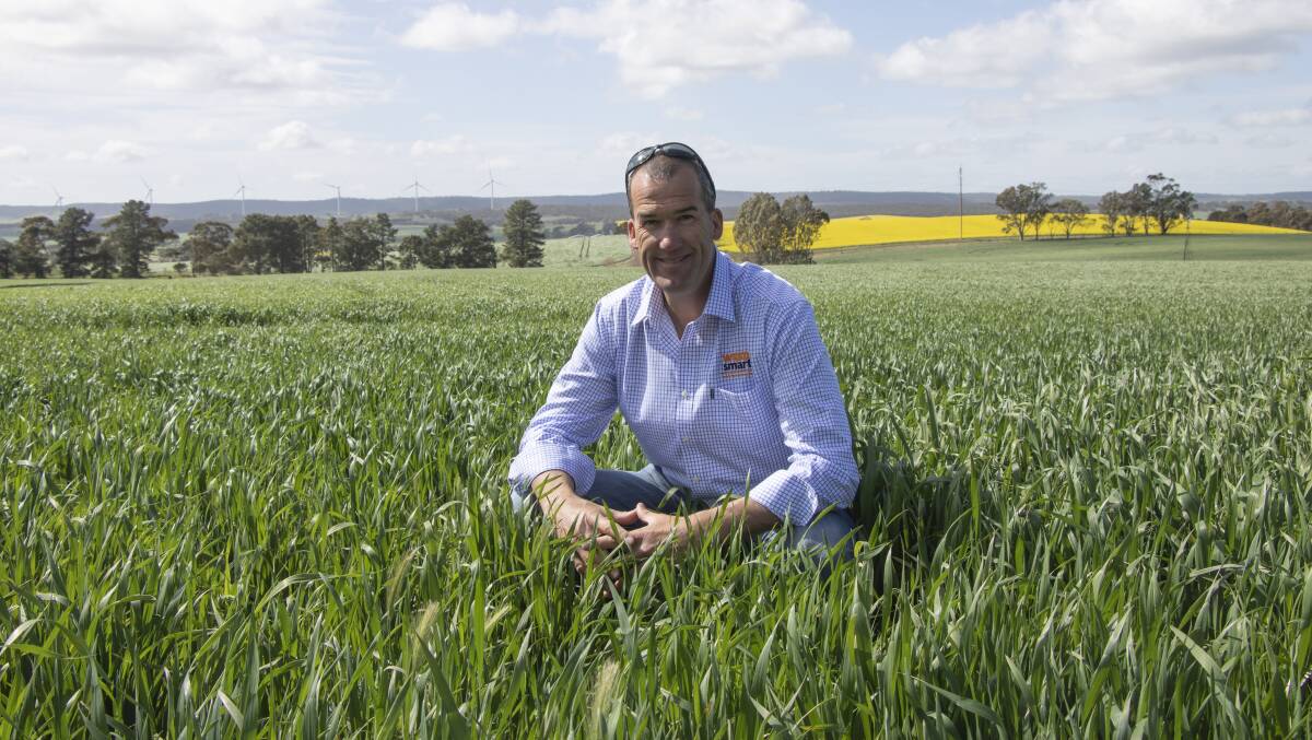 WeedSmart southern extension agronomist Chris Davey said crop competition is a quiet achiever in weed control that also has a synergistic effect when applied with other tactics.