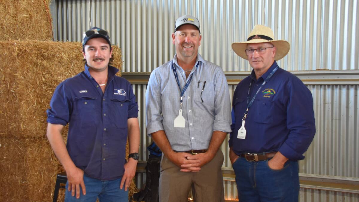 Bevan Ravenhill (centre), Lawsons Angus stud, Manypeaks, was a guest speaker on the day and caught up with Connor Burrow (left), Mason Valley Angus stud, Youngs Siding and WA College of Agriculture Harvey, farm manager Tony Abel.