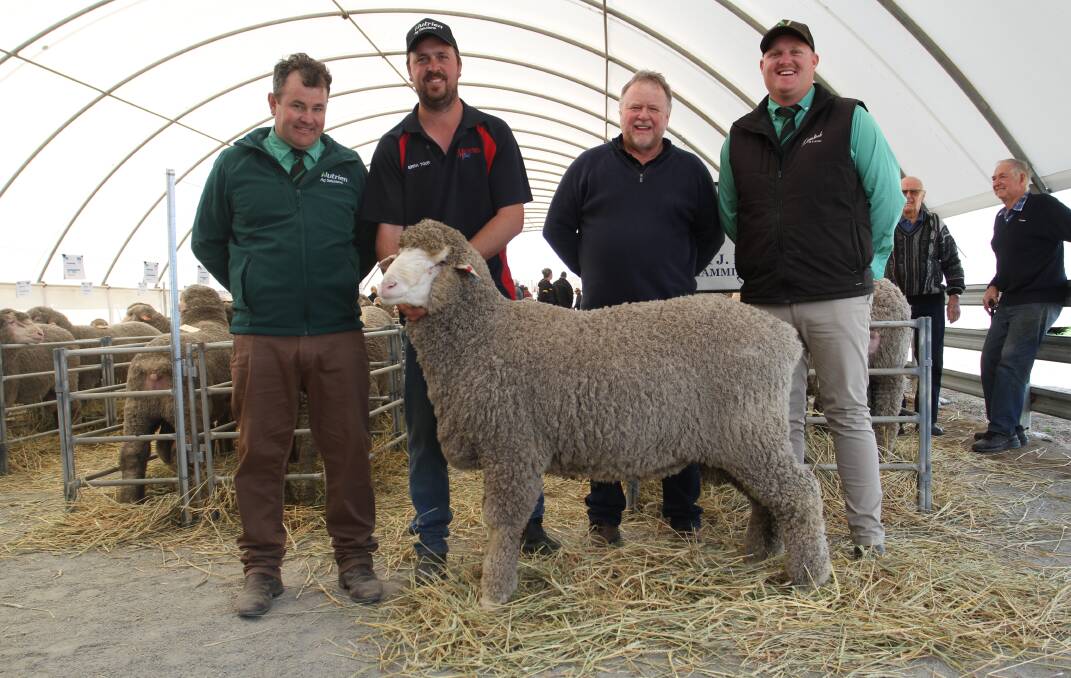 With the $12,500 top-priced ram at the 18th annual Manunda Poll Merino on-property ram sale at Tammin last week were Mitchell Crosby (left), Nutrien Livestock Breeding, Manunda stud principals Luke and Wayne Button and Jake Finlayson, Livestock & Land, Nutrien Livestock, Cunderdin. The ram was purchased over the phone by the Wadlow family, Old Ashrose stud, Hallett, South Australia.