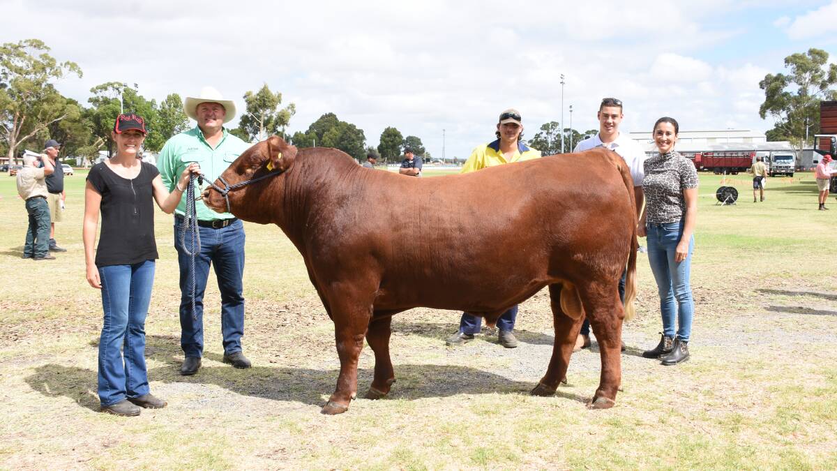With the $6500 top-priced Red Angus bull (by Bandeeka P20) from the Red Rock stud, Ludlow, were stud co-principal Rebecca Bantock (left), Nutrien Livestock, Capel/Donnybrook/Boyanup agent Chris Waddingham, Matt Vitalone, WA College of Agriculture, Harvey and buyers Jack Bennett and his mother Sonia, Magic Valley Red Angus stud, Harvey.