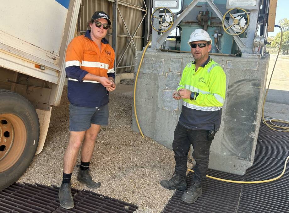 Jaidan Thompson (left), Thompson Farms, surveys the first load of lupins with CBH receival point officer in charge Clinton Maver at CBH Yuna.