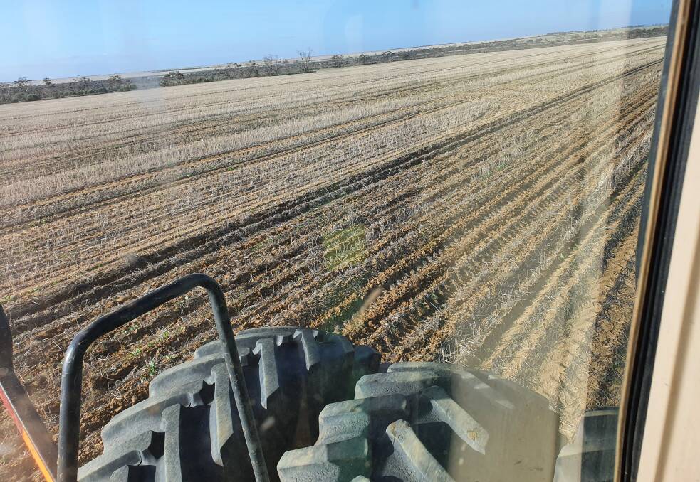  The view from Dylan Hirsch's tractor during two to three leaf deep ripping treatment at Latham.