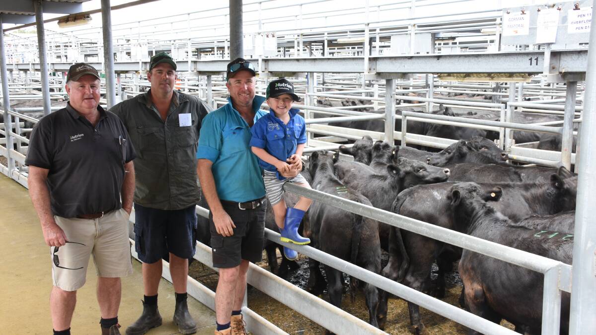 The Gorman family, Gorman Pastoral, Wellstead, sold 213 steers (nine pens) at 448-494c/kg to return values of $1540-$1693. With the familys top-priced pen were Nutrien Livestock, Manypeaks agent Mark Bradbury (left), Gorman Pastoral cattle manager Tim Fenwick and James Gorman holding son Mitchell.