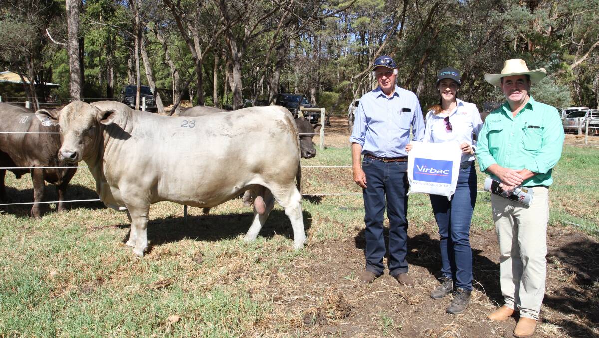 With the $25,000 top-priced Murray Grey bull Monterey T Bone T55 (by Southend Narssist), at the 32nd annual Monterey Murray Grey and Angus on-property bull sale at Karridale last week were Monterey stud principal Gary Buller (left), top-priced bull sponsor Kylie Meloury, Virbac Australia and Nutrien Livestock, Boyup Brook agent Jamie Abbs. Mr Abbs purchased the bull 3/4 share and procession with half share in international semen sales on behalf of the Burnett family, Maefair Murray Grey stud, Marrar, New South Wales and the Grant family, Lindsay Murray Grey stud, Coleraine, Victoria.