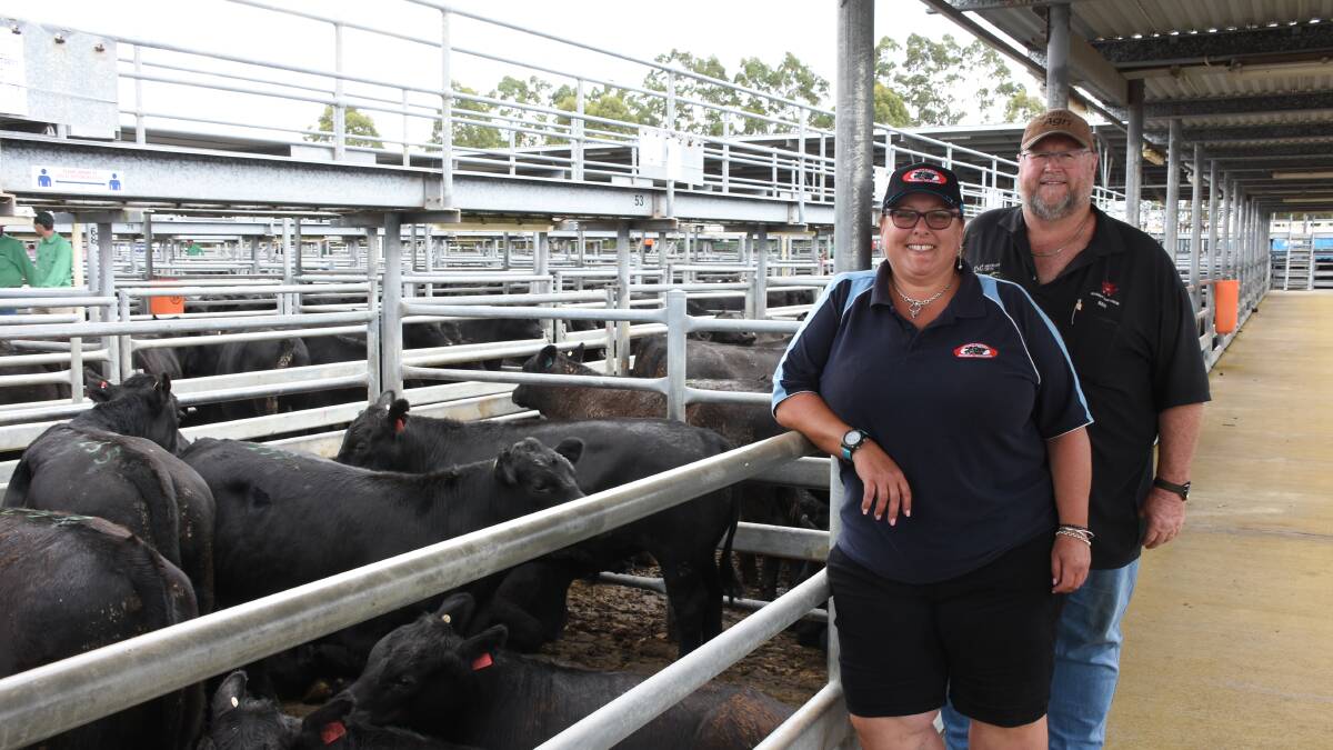 Vendors Erika and Ben Henderson, BL & EJ Henderson, Napier, inspected their weaners in the sale before it commenced. In the sale they sold 22 steers to a top of $1755 and 12 heifers for $1310.