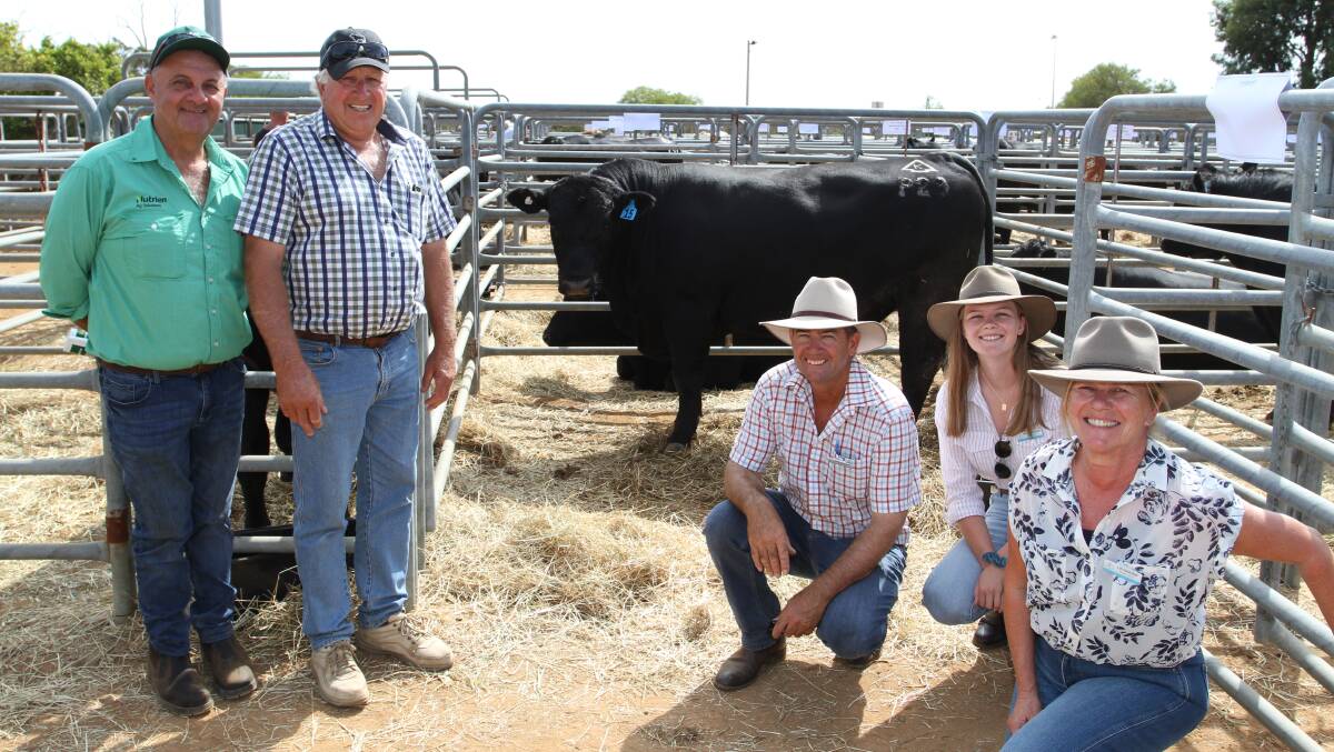  Angus bulls sold to the $12,000 top price at the Midland Cattle Breeders' Association 32nd annual Gingin Bull Sale last week. With the top-priced bull Kapari Bronc P29 (by Baldridge Bronc) were Ralph Mosca (left), Nutrien Livestock, Harvey, buyer Darryl Robinson, Murray River Farms, Waroona and Tony, Maddy and Liz Sudlow, Kapari Angus stud, Northampton.