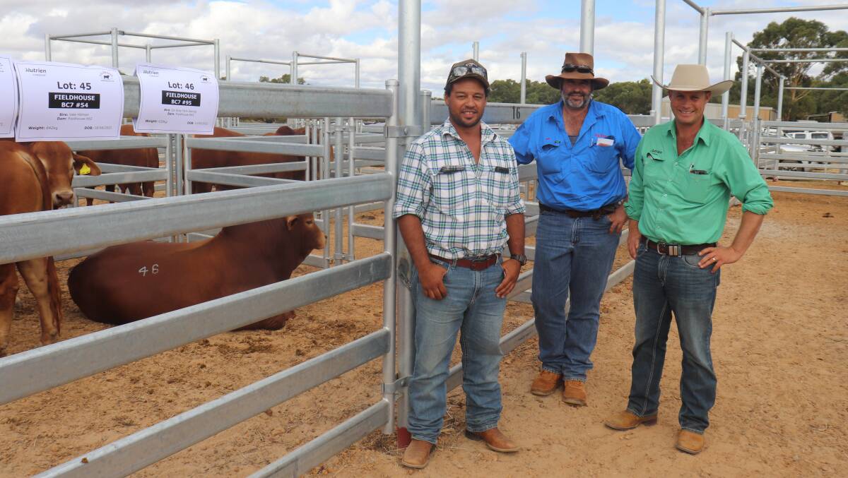 Rocklea station, Paraburdoo, was the volume buyer at the sale represented by Rio Tinto pastoral representatives Davey Green (left) and Rob Morgan, and they were assisted in their buying by Nutrien Livestock, Pilbara and Gascoyne agent Shane Flemming. In the sale there were 29 bulls knocked down to Rocklea station to a top of $9000, three times, and an average of $6276.