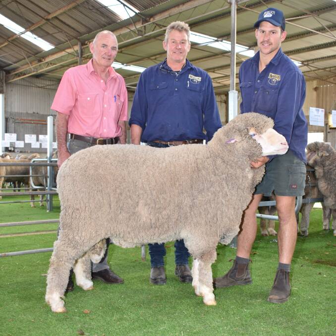 This Willemenup Poll Merino ram sold for the sale's $6750 second top price to the Pech family, North Stirling Downs, Gnowangerup. With ram were Elders Gnowangerup agent Richard Poulish (left) and Barloo/Willemenup stud's Richard and Fraser House.
