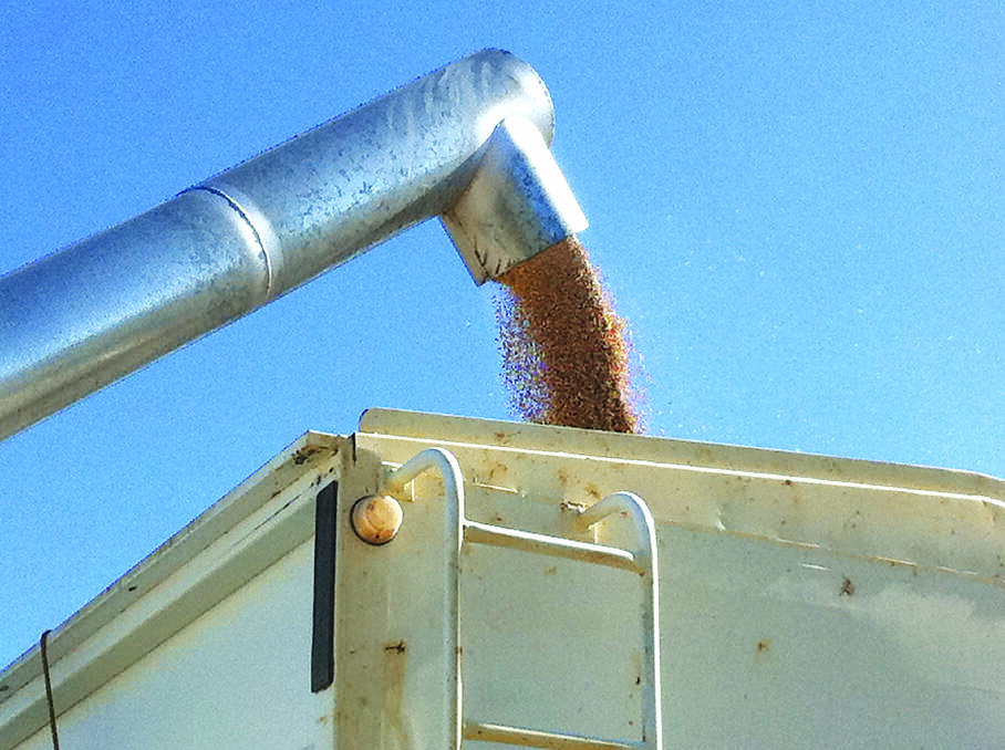 Grain survey points to strong compliance