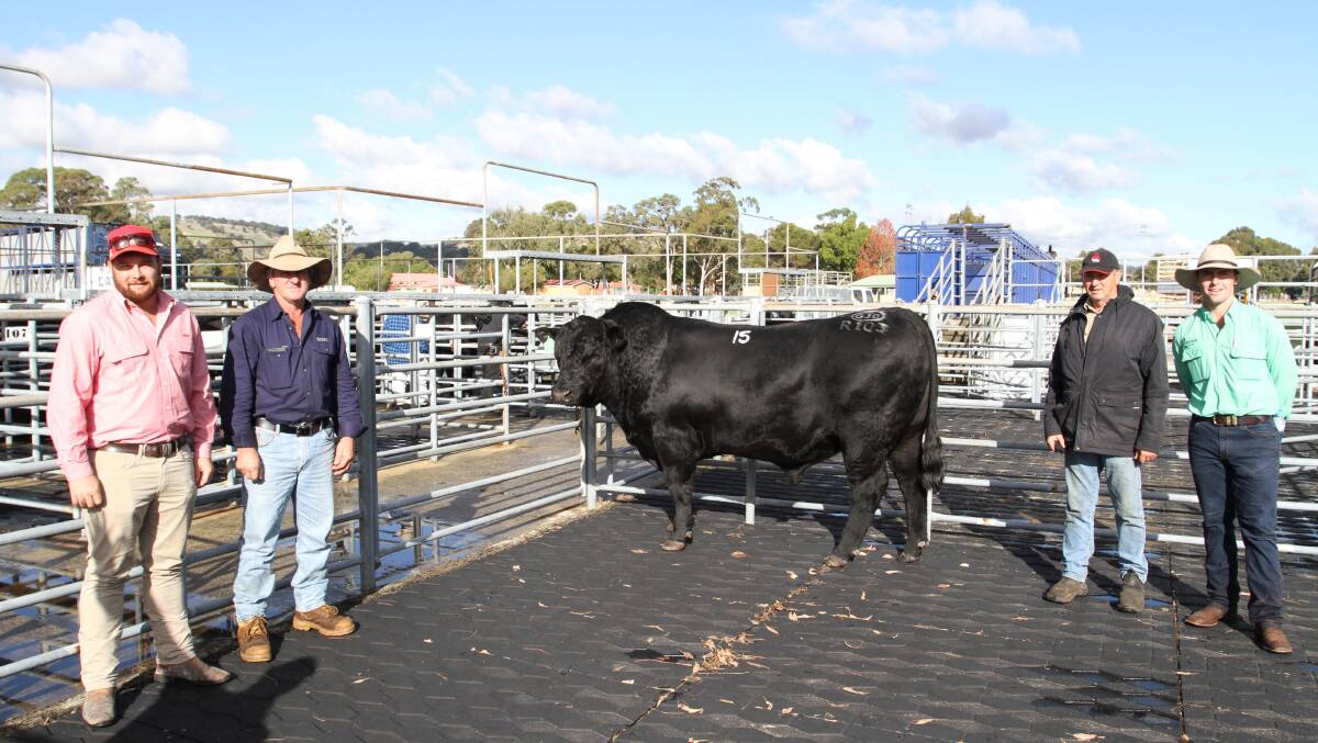 Prices reached an equal top price of $21,000 for Angus bulls at the annual Monterey Angus and Murray Grey Winter Bull Sale at Brunswick last week. With one of the top-priced bulls Monterey Rockstar R103 (by Millah Murrah Reality K61) were Brendan Millar (left), Elders Margaret River, buyer Peter Giadresco, P & F Giadresco, Stratham/Lake Muir, Monterey Scott River manager Mick Gray and Nutrien Livestock trainee Austin Gerhardy.