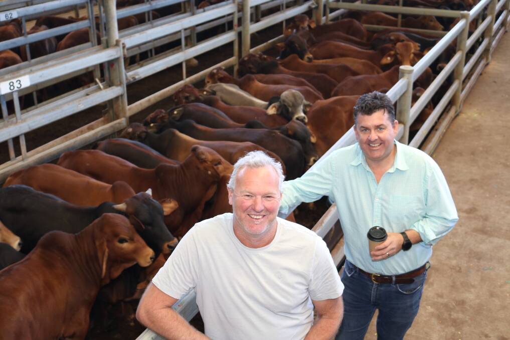 Volume vendors Chris Zur (left) and Andrew Blythe, TBG Agribusiness, were at Muchea to see their cattle from Balfour Downs station, East Pilbara, go under the auctioneer's hammer, topping at $1504 for 180 Droughtmaster-Brahman cross steers and $1531 for 403 similarly bred bulls.
