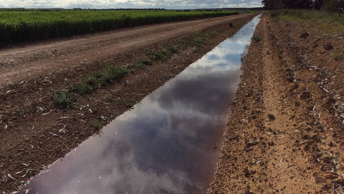 A drain bordering a paddock. Surface and and sub-surface water management is a key constraint to production that has been raised by growers through GRDC Regional Cropping Solutions Network open forums. Photograph by Quenten Knight.
