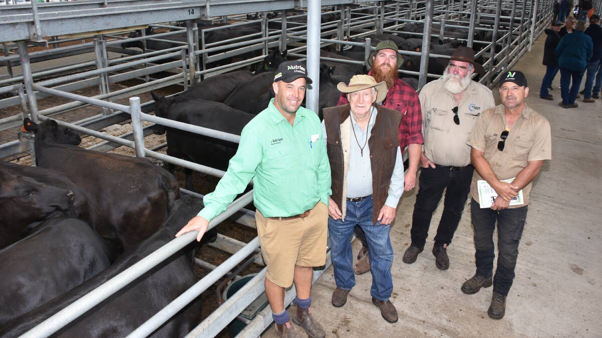 Old Penny Holdings, Boddington, was a volume buyer of PTIC Angus heifers, purchasing 50 heifers at an average of $2332 and to a top of $2800. Its purchases included three pens from L & C Gatti, Redmond, at $2650, $2500 and $2400. With the pens purchased from the Gatti family, were Nutrien Livestock, Williams agent Ben Kealy (left), buyer Jim Firns with his grandson Dan Sullivan and son-in-law Wal Sullivan, Old Penny Holdings and vendor Luke Gatti.