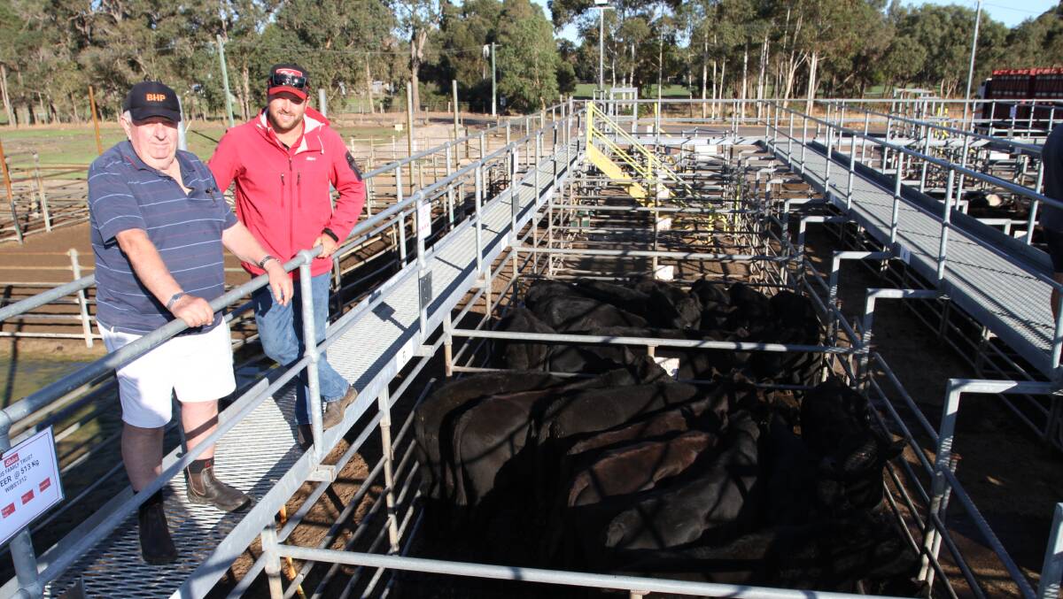 Vendor Richard Farris (left), Farris Family Trust, Busselton and buyer Jacques Martinson, Elders Busselton, at the Elders store cattle sale at Boyanup last week where the Farris familys Red Angus and Angus cross steers topped the market at $1702 and equal top liveweight price of 332c/kg.