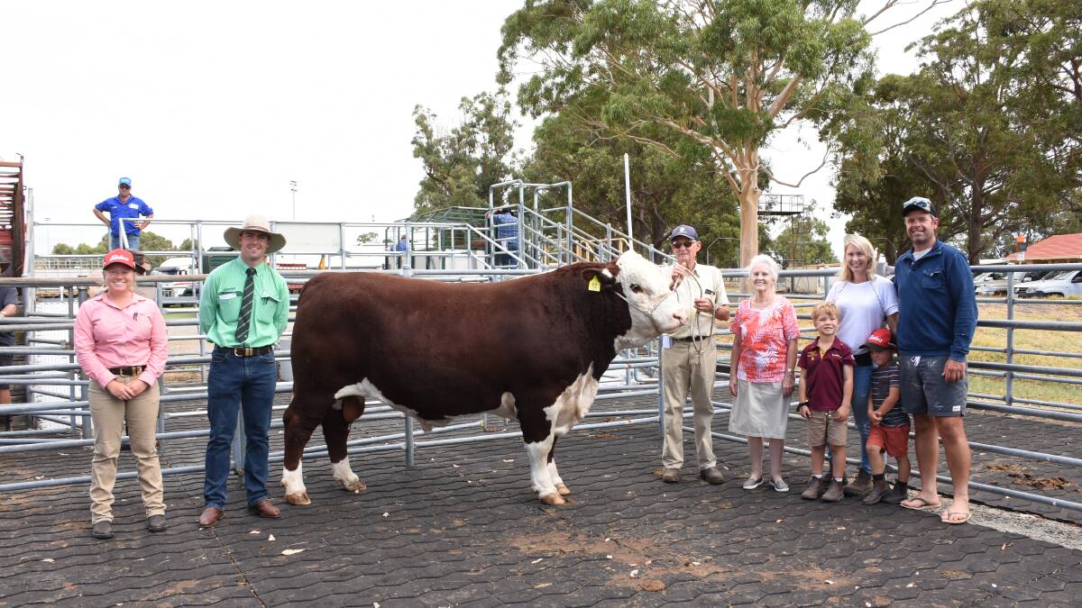 The Yallaroo stud, Busselton, sold this bull for $21,000 to take top price honours in the Hereford/Poll Hereford run. With the bull Yallaroo Ranger R9 (by Mount Difficult Kearney K18) were Elders trainee Emma Dougall (left), Nutrien Livestock trainee Austin Gerhardy, Yallaroo principals Rob and Heather Francis, buyers Felicity and Matt Della Gola, Tonebridge Grazing, Tonebridge and their children Finn and Rocco.
