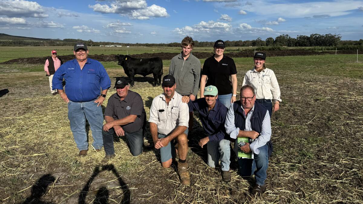 Elders Albany agent Wayne Mitchell (left), top-priced bull sponsor Ben Fletcher, Zoetis, Independent Rural Agents, Pemberton, principal Colin Thexton, Lawsons Angus WA representatives Bevan, Coby and Rebecca Ravenhill, Manypeaks, buyer Warren Pensini, Wyloo Pastoral Company, Boyup Brook, Lawsons Angus stud principal Harry Lawson, Yea, Victoria, and his daughter Charlotte with the $12,250 top-priced bull Lawsons Quinella U1636 (AI) (by Moongenilla Quinella Q33) at the 10th anniversary Lawsons Angus annual yearling bull sale at Manypeaks last Friday on AuctionsPlus.