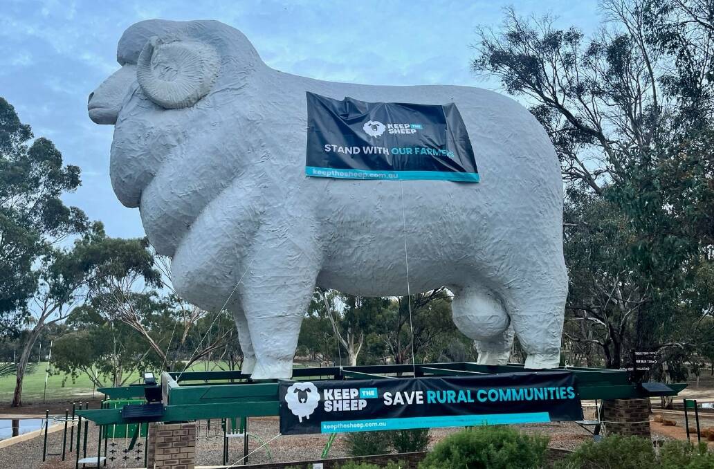 Wagin icon, Baart the ram, was draped in the Keep the Sheep banners on the weekend, adding support for the campaign against the Federal government. Everyone is urged to attend a rally at the Muresk Institute this Friday, June 14.