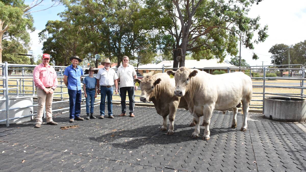 The Wundam Park stud, Boyup Brook, sold the two $9500 equal top-priced bulls in the Murray Grey run. With the bulls both by Southend Nike N108 were Elders, Donnybrook representative Pearce Watling (left), buyer Peter Gustafsson, WM Valli, Crooked Brook, Boston Walker with his grandfather and Wundam Park principal David Corker and buyer John Pearce, Torraj Pty Ltd, Serpentine.