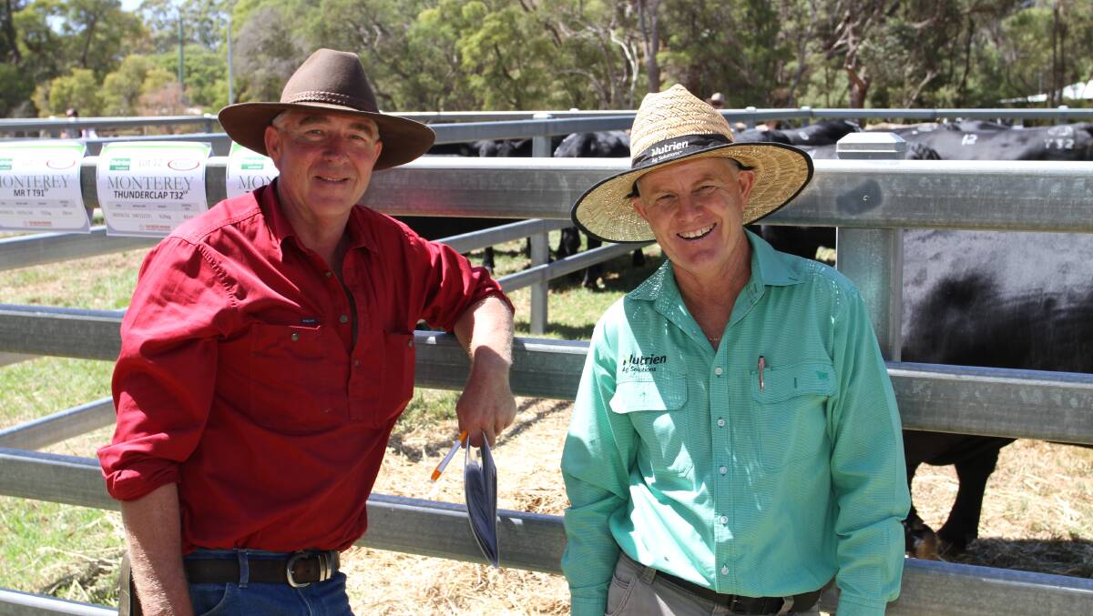 Angus and Murray Grey bull buyers respectively at the Monterey sale were Tony Mostert (left), Scott River Trading, Scott River and Nutrien Livestock, Margaret River/Busselton agent Jock Embry.