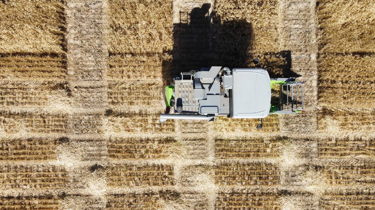 Harvesting wheat trial plots on KalFarms at Cadoux.