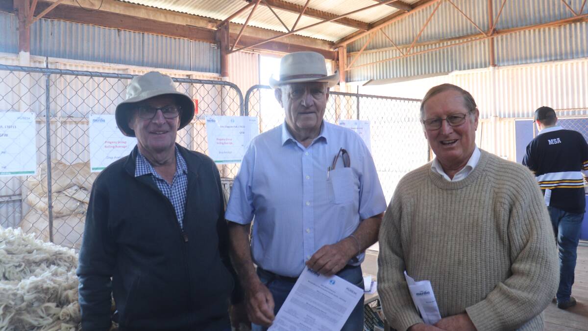 Philip Bolt (left), Claypans stud, Corrigin, Bill Johnston, Fremantle and Bill Sandilands, Kendenup, caught up to discuss the trial at the Muresk sire evaluation inspection day at the Muresk Institute shearing shed.
