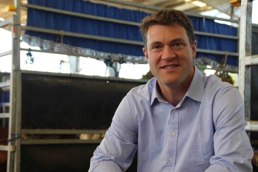  Rabobank senior animal proteins analyst Angus Gidley-Baird said improved conditions had buoyed local restocking motivation among producers.