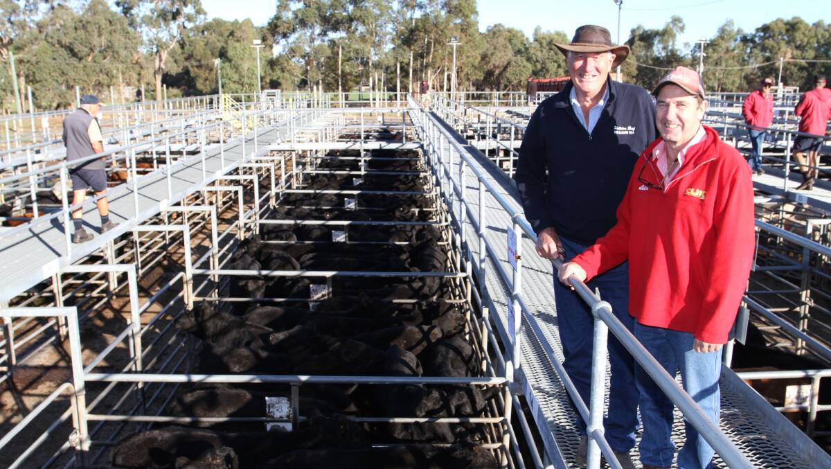 Buyer Gordon Atwell (left), Welldon Beef, Williams, caught up with retiring Elders Margaret River agent and auctioneer Alec Williams at his final store cattle sale.