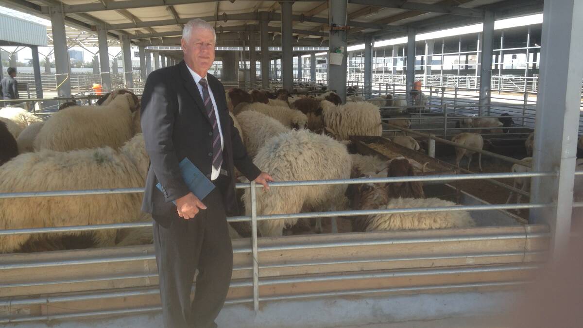 Pastoralists and Graziers Association of WA President Tony Seabrook is angry with the Federal government's decision, announced on Saturday, to end live sheep exports by sea by May 1, 2028.